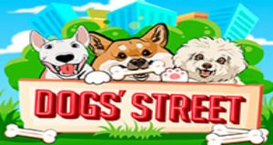 dogs street Dogs Street
