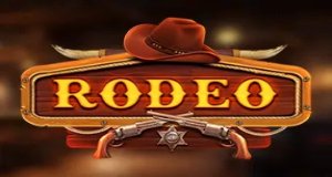 logo Bannière Rodeo X