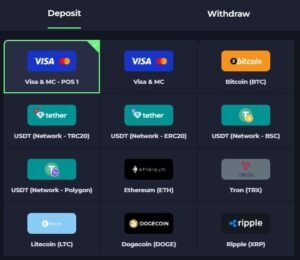 PitBet Casino deposit page