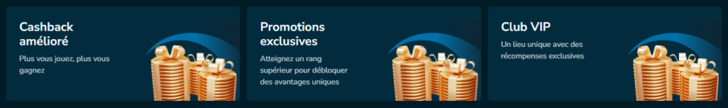 Volerbet Casino vip program